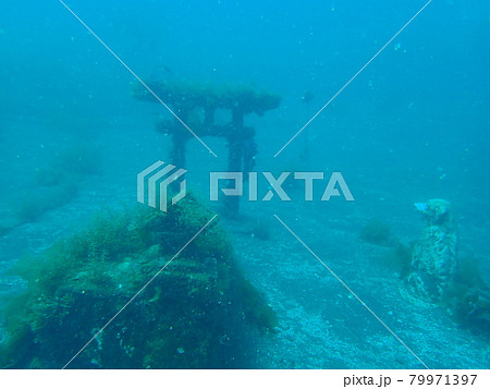 大瀬崎の海中神社 79971397