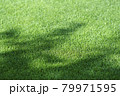 芝生 79971595