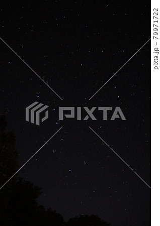 赤井川村から見える星空 79971722