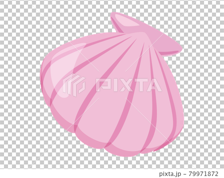貝殼 2 夏季功能圖標/插圖素材 79971872