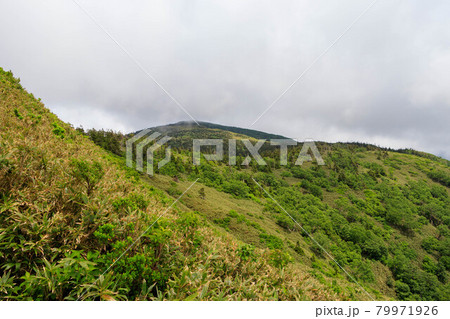 広大な山と森林　秋田県　7月 79971926