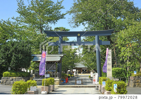 東京都世田谷区若林　松陰神社 79972028