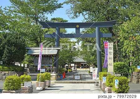東京都世田谷区若林　松陰神社 79972029