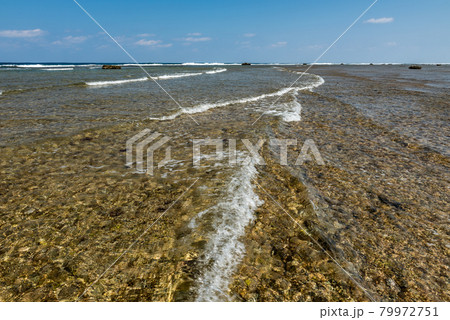 Rising tide with small sea waves passing over corals. Iriomote Island. Rising tide with small sea waves passing over corals. Iriomote Island. 79972751