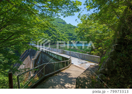 中木ダム 妙義湖 初夏の周辺景色 中木ダム 妙義湖 初夏の周辺景色 79973313