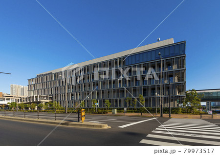 豊洲市場 79973517