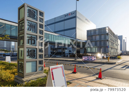 豊洲市場 79973520