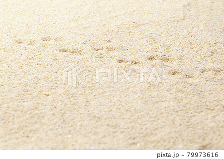 夏の砂浜足跡 79973616