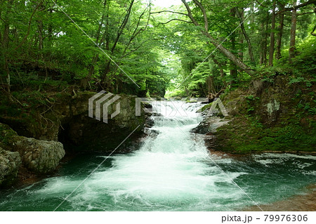 初夏の伏伸の滝 涼し気な滝 秋田県河辺町 初夏の伏伸の滝 涼し気な滝 秋田県河辺町 79976306