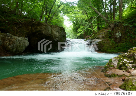 初夏の伏伸の滝 涼し気な滝 秋田県河辺町 初夏の伏伸の滝 涼し気な滝 秋田県河辺町 79976307