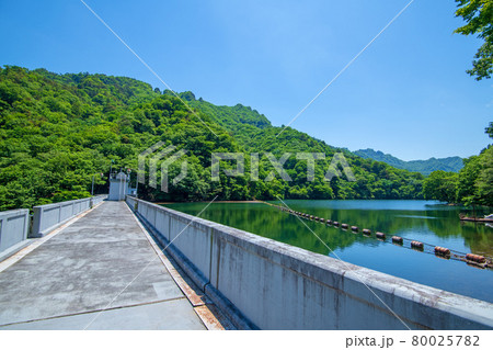 中木ダム　妙義湖　初夏の周辺景色　　　　　　 80025782
