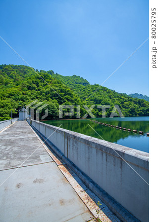 中木ダム 妙義湖 初夏の周辺景色 中木ダム 妙義湖 初夏の周辺景色 80025795