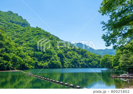 中木ダム 妙義湖 初夏の周辺景色 中木ダム 妙義湖 初夏の周辺景色 80025802
