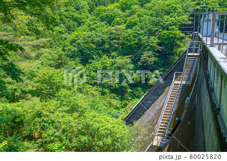 中木ダム 妙義湖 初夏の周辺景色 中木ダム 妙義湖 初夏の周辺景色 80025820