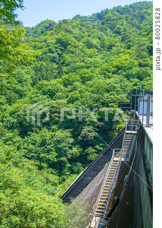 中木ダム 妙義湖 初夏の周辺景色 中木ダム 妙義湖 初夏の周辺景色 80025828