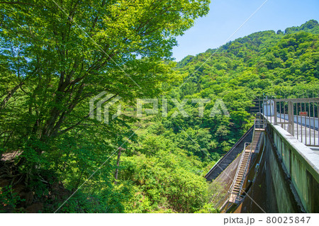 中木ダム 妙義湖 初夏の周辺景色 中木ダム 妙義湖 初夏の周辺景色 80025847