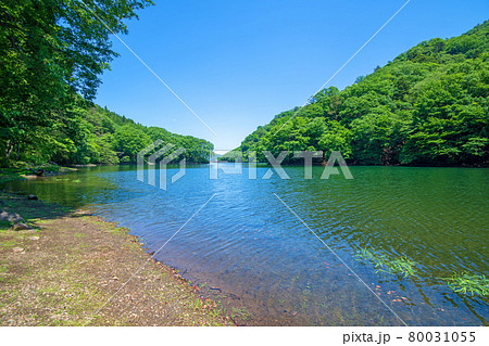 中木ダム 妙義湖 静寂な初夏の周辺景色 中木ダム 妙義湖 静寂な初夏の周辺景色 80031055