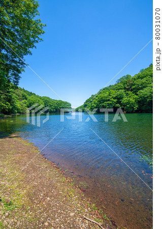中木ダム　妙義湖　静寂な初夏の周辺景色　　　　　　 80031070