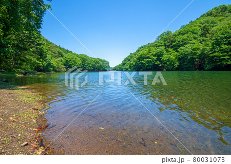 中木ダム　妙義湖　静寂な初夏の周辺景色　　　　　　 80031073