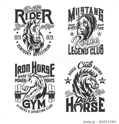 Horse stallion mascot t-shirt vector print Horse stallion mascot t-shirt vector print 80032584