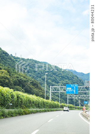 緑の道路 緑の道路 80044231