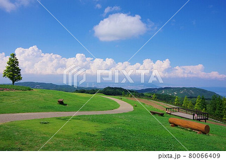 兵庫県淡路島 あわじ花さじき(神戸方面を望む) 兵庫県淡路島 あわじ花さじき(神戸方面を望む) 80066409