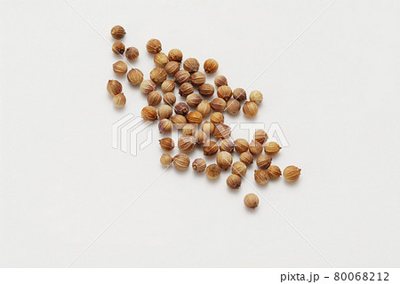 香辛料 コリアンダー 香辛料 コリアンダー 80068212