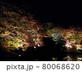 夜の紅葉 80068620