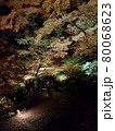 夜の紅葉 80068623