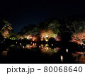 水面の紅葉 80068640