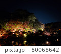 水面の紅葉 80068642