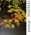 もみじ 80068643
