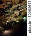 紅葉の道 80068645