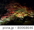 紅葉 80068646