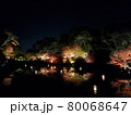 水面の紅葉 80068647