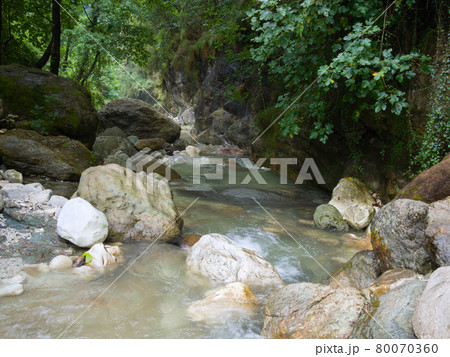 rushing creek flows through a canyon between rocks of different colors and vegetation 80070360