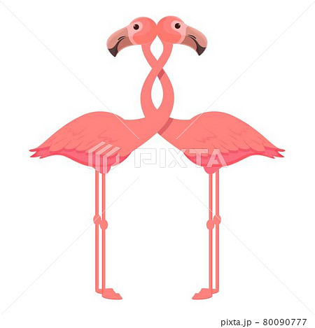 Flamingo couple icon cartoon vector. Tropical bird Flamingo couple icon cartoon vector. Tropical bird 80090777