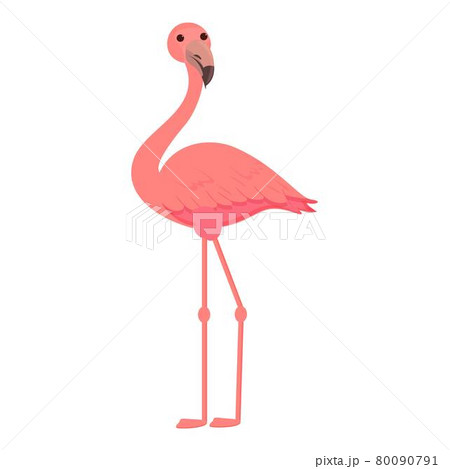 Summer flamingo icon cartoon vector. Tropical bird Summer flamingo icon cartoon vector. Tropical bird 80090791