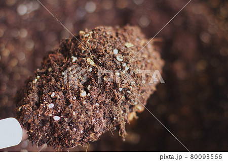 自家製コンポスト 堆肥 自家製コンポスト 堆肥 80093566