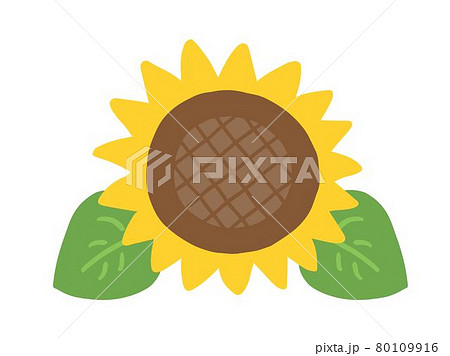 かわいい夏のひまわり 手書きイラストのイラスト素材