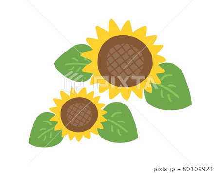 かわいい夏のひまわり 手書きイラストのイラスト素材