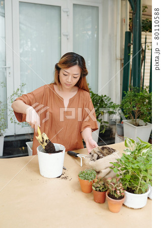 Woman Adding Rich Soil in Pot 80110588