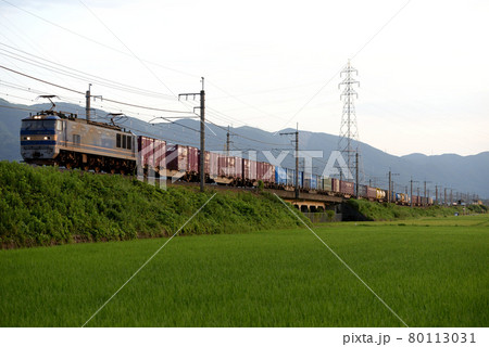 湖西線を走るEF510-502コンテナ貨物列車 80113031