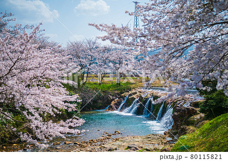 布橋十二ヶ滝（ぬのはしじゅうにがたき）／石川県小松市　西尾地区　2021年4月 80115821
