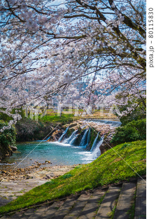 布橋十二ヶ滝(ぬのはしじゅうにがたき)/石川県小松市 西尾地区 2021年4月 布橋十二ヶ滝(ぬのはしじゅうにがたき)/石川県小松市 西尾地区 2021年4月 80115830