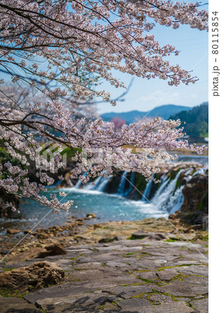 布橋十二ヶ滝（ぬのはしじゅうにがたき）／石川県小松市　西尾地区　2021年4月 80115854