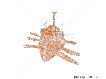 6歳の男の子が描いたカブトムシのイラスト 80116992