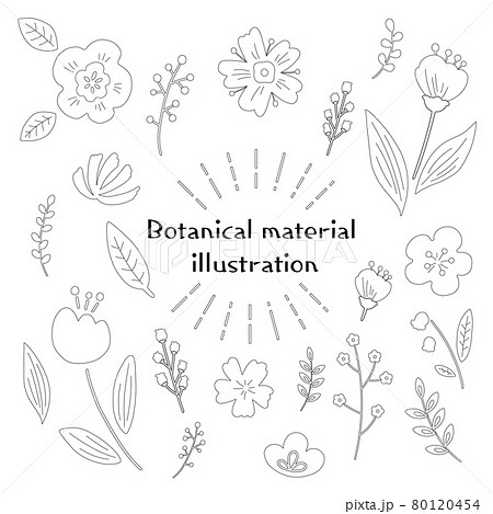 北欧風　可愛い植物や花のイラスト素材 80120454