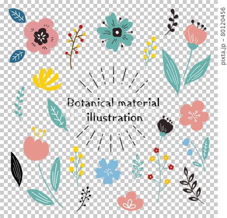 北欧風　可愛い植物や花のイラスト素材 80120456