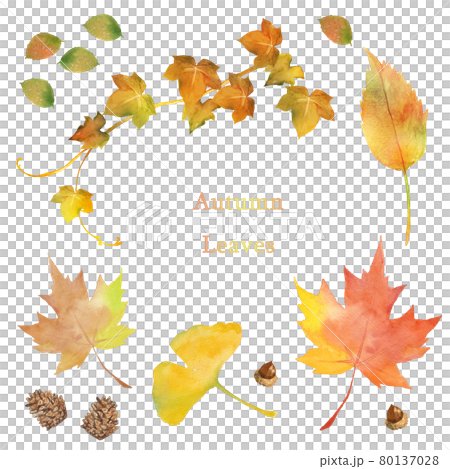 秋葉水彩集 80137028